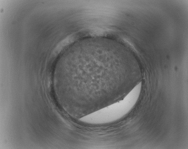 X0000065980687200603172115