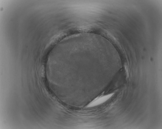 X0000065980689200603172115