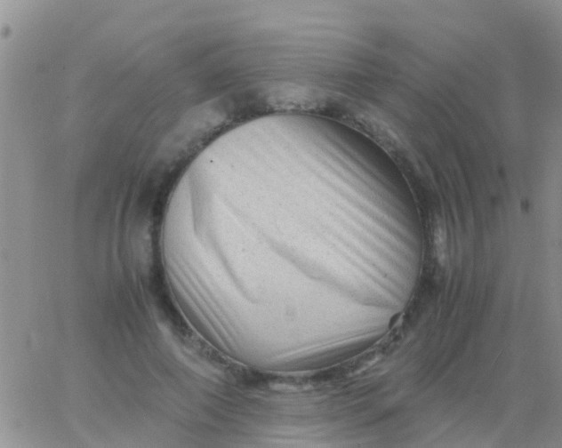 X0000065980690200603172115