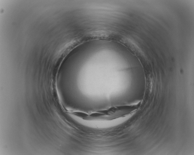 X0000065980692200603172115