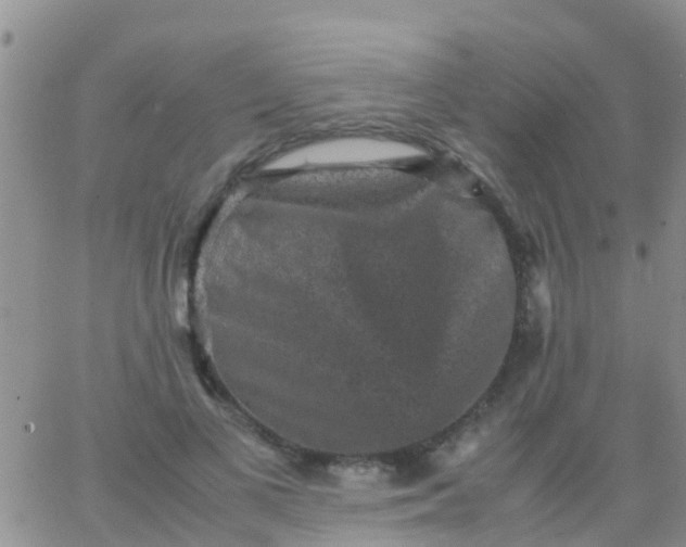 X0000065980693200603172115