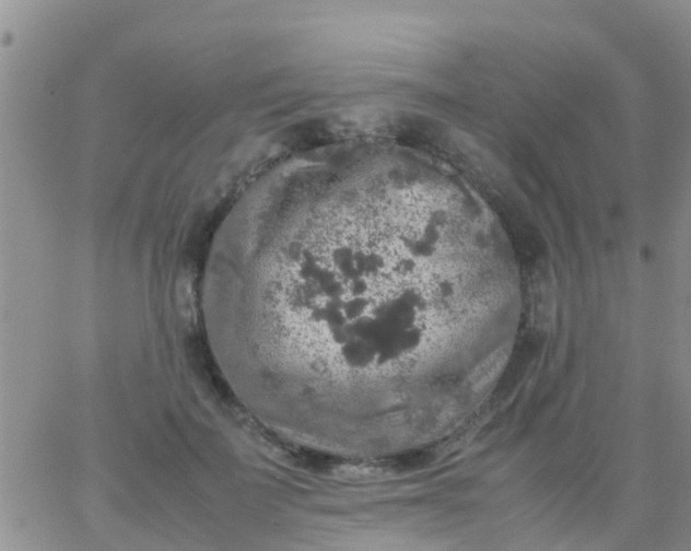 X0000065980699200603172115