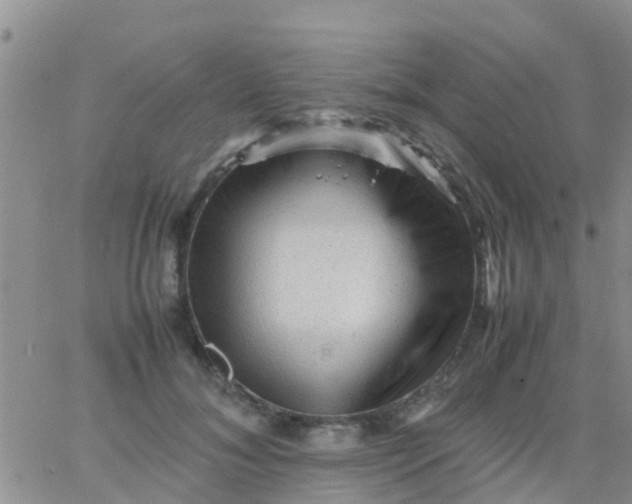 X0000065980700200603172115