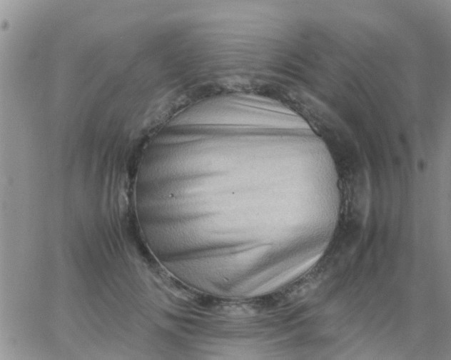 X0000065980702200603172115