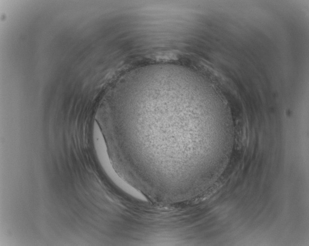 X0000065980704200603172115