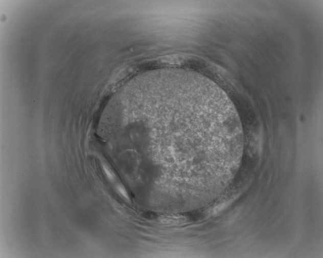 X0000065980707200603172115