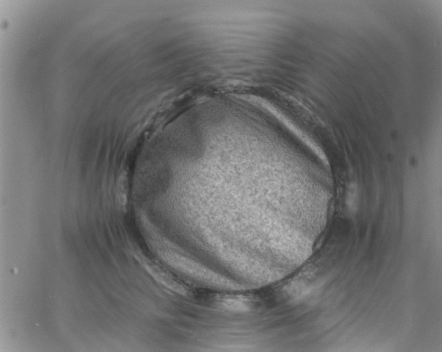 X0000065980710200603172115