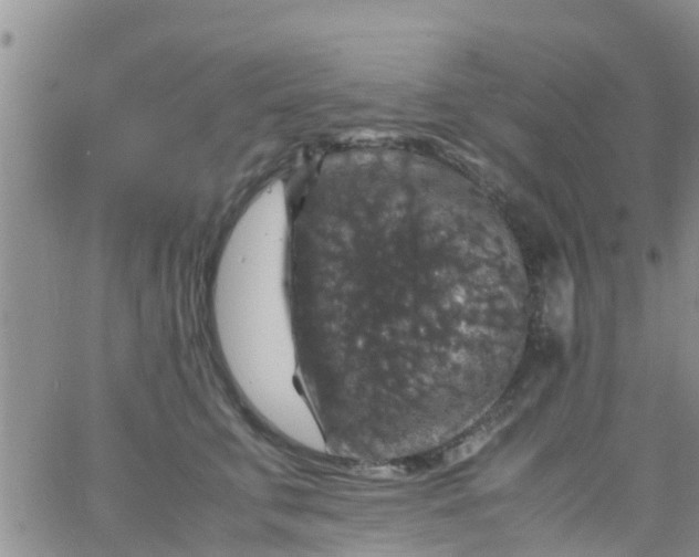 X0000065980711200603172115