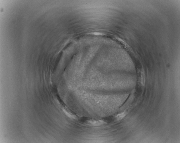 X0000065980712200603172115