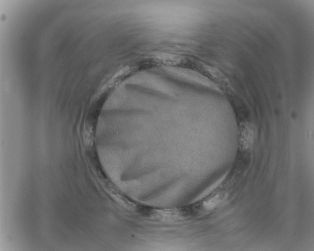 X0000065980713200603172115