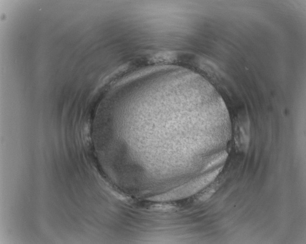 X0000065980714200603172115