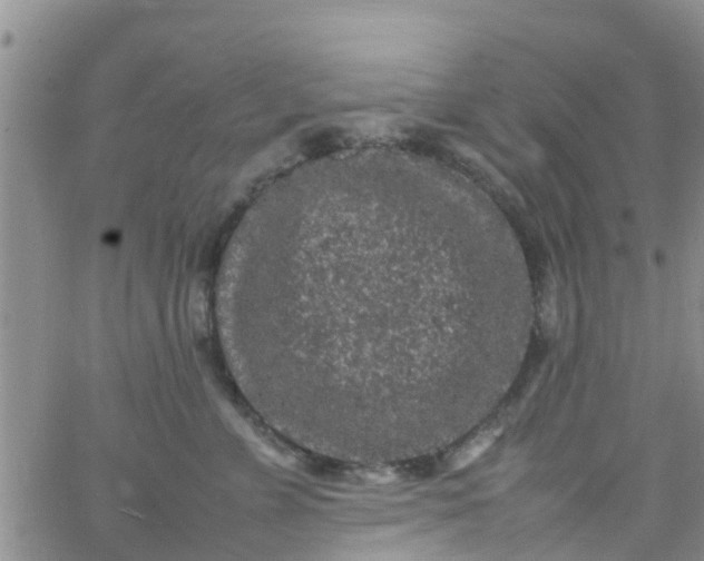 X0000065980715200603172115