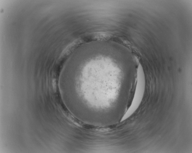 X0000065980716200603172115