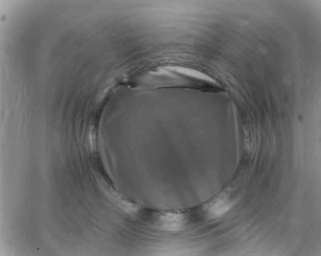 X0000065980718200603172115