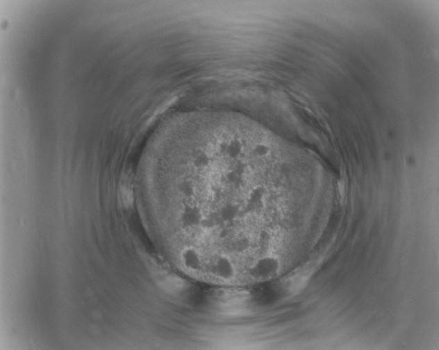 X0000065980719200603172115