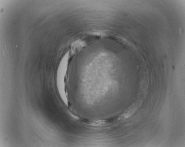 X0000065980720200603172115