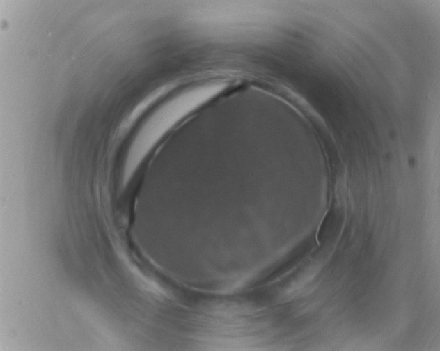 X0000065980722200603172114