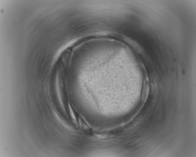 X0000065980728200603172114