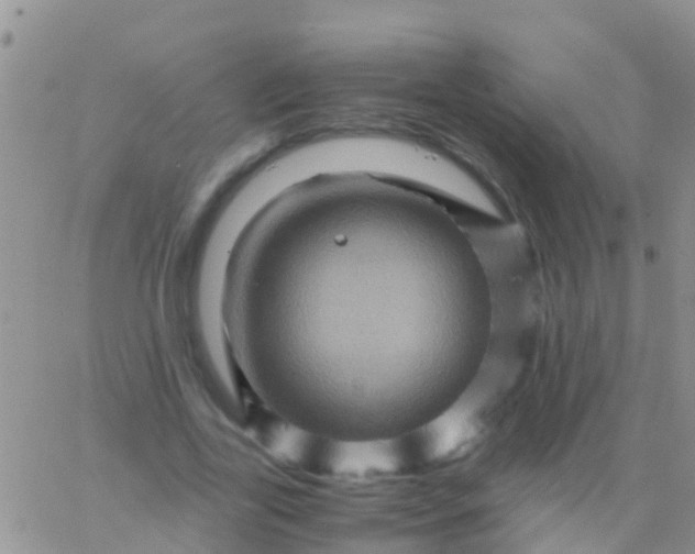 X0000065980731200603172114