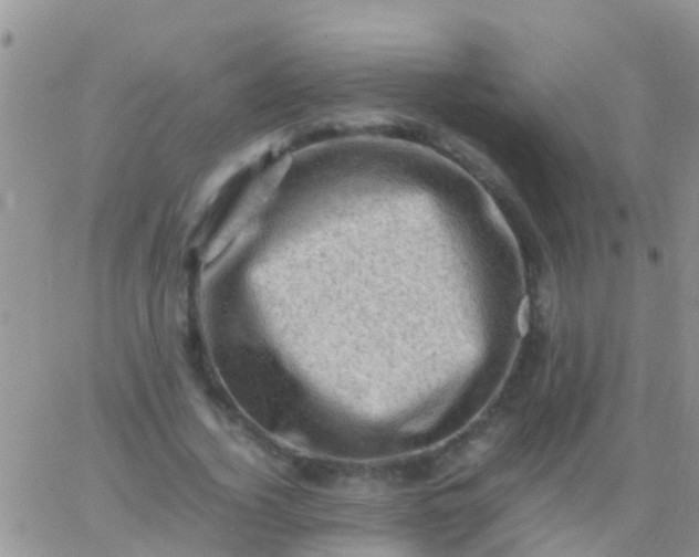 X0000065980732200603172114