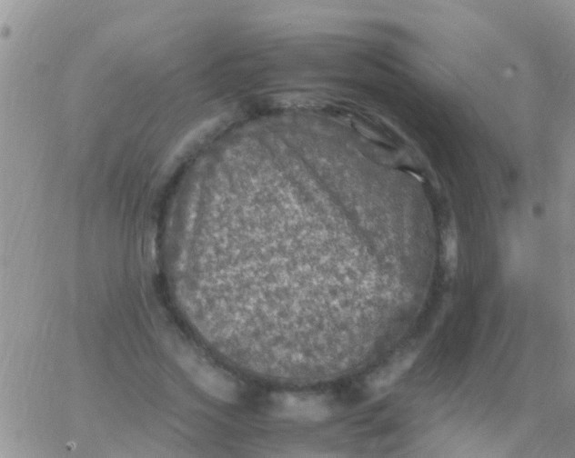 X0000065980733200603172114