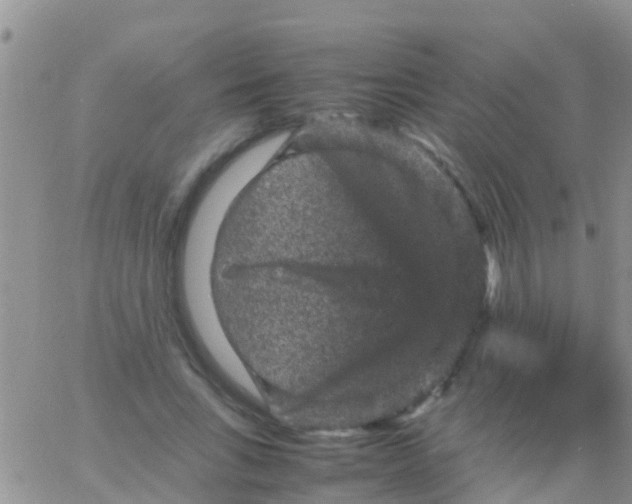 X0000065980735200603172114