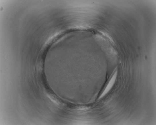 X0000065980736200603172114