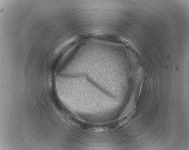 X0000065980740200603172114