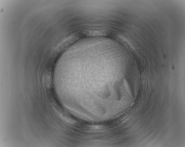 X0000065980741200603172114