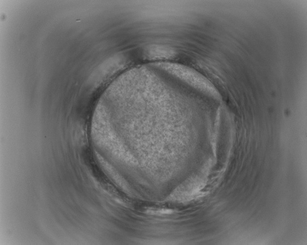 X0000065980743200603172115