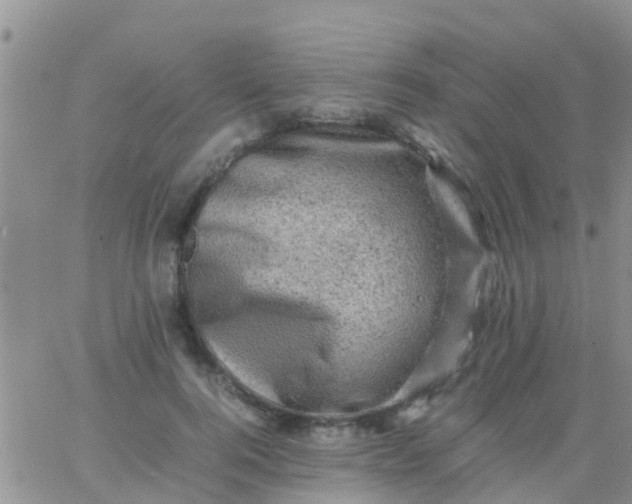 X0000065980744200603172115