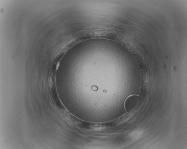 X0000065980746200603172115