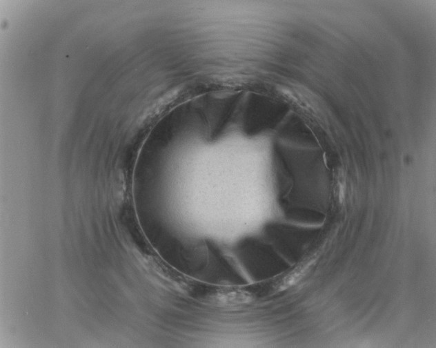 X0000065980752200603172115