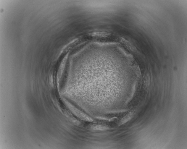 X0000065980755200603172115