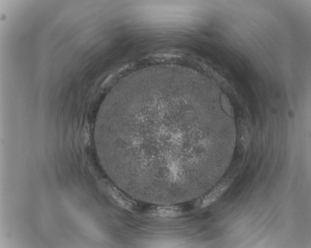 X0000065980758200603172115