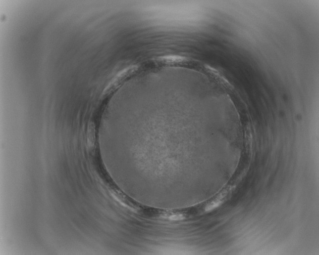 X0000065980760200603172115