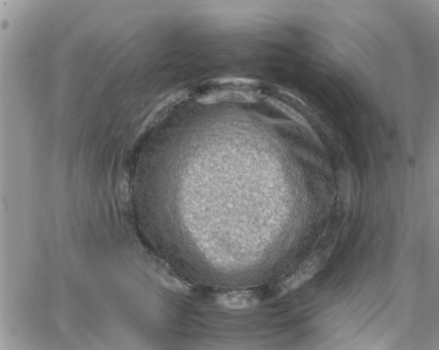 X0000065980761200603172115