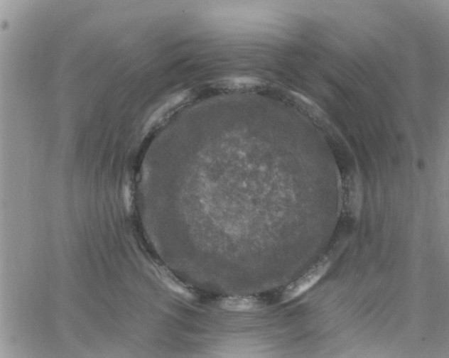 X0000065980762200603172115