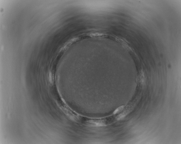 X0000065980763200603172115