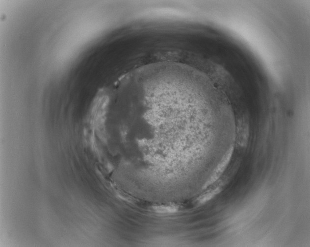 X0000065980765200603172115