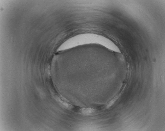 X0000065980766200603172115