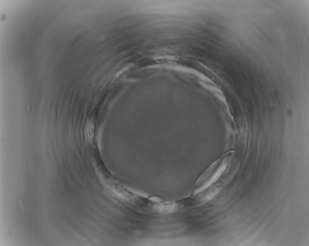 X0000065980767200603172115