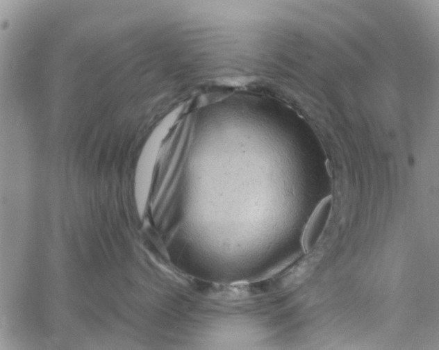 X0000065980768200603172115