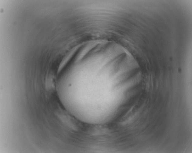 X0000065980770200603172114