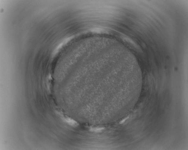 X0000065980776200603172114