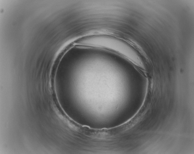 X0000065980784200603172114