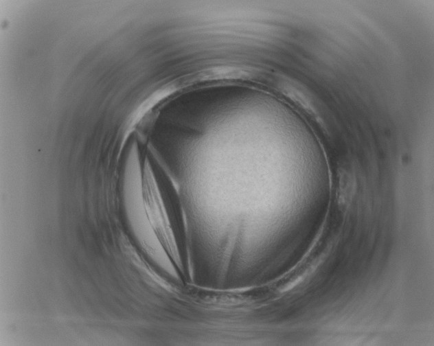 X0000065980786200603172114