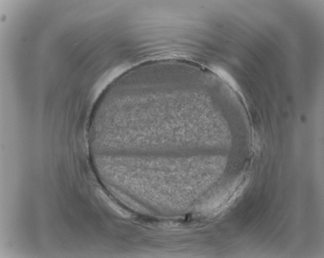 X0000065980789200603172114