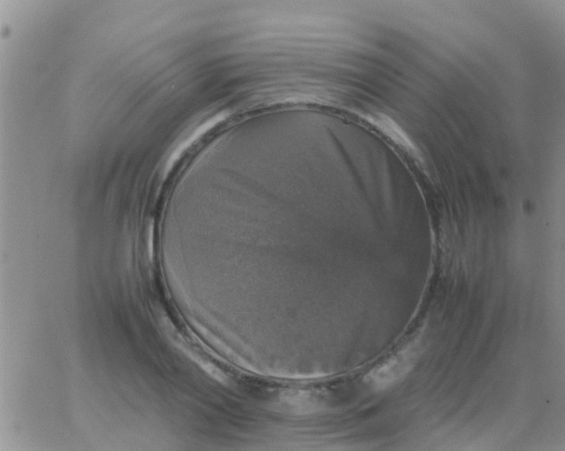 X0000065980790200603172114