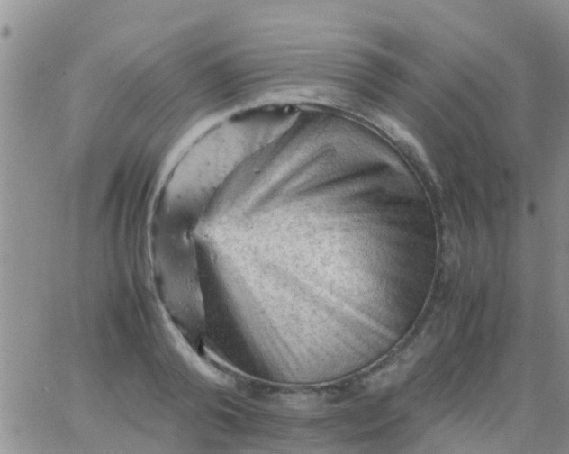 X0000065980792200603172114